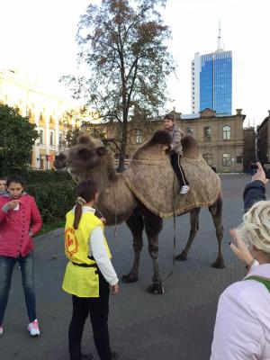 Прикрепленное изображение: 12003021_714294248675823_1469832919534231408_n.jpg